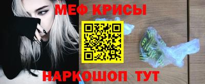 СК Кингисепп