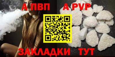 СК Кингисепп