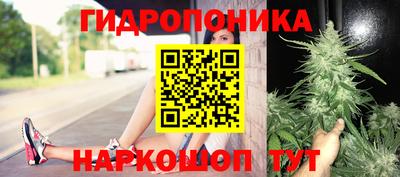 СК Кингисепп