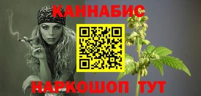 СК Кингисепп