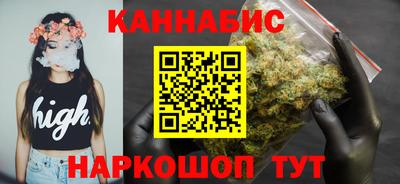 СК Кингисепп