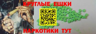 СК Кингисепп
