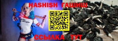 СК Кингисепп