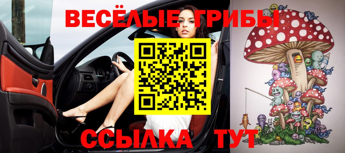 Псилоцибиновые грибы GOLDEN TEACHER Кисловодск