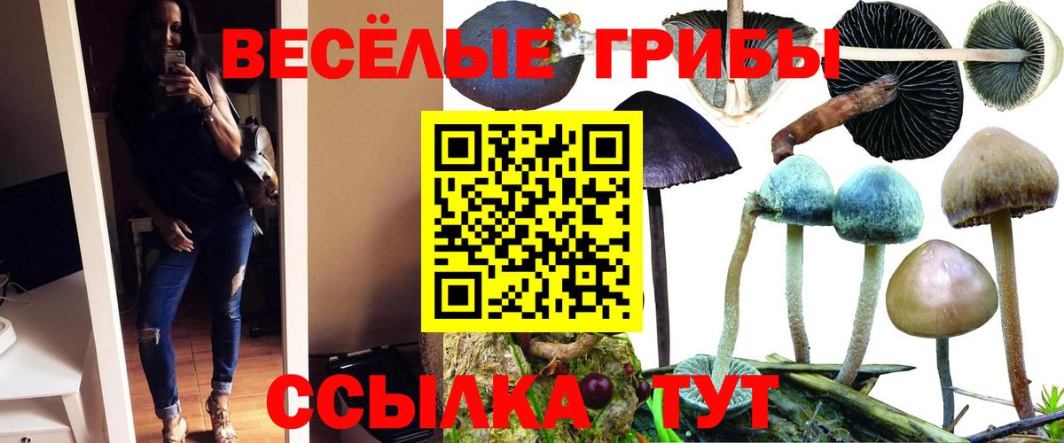 A PVP Кисловодск