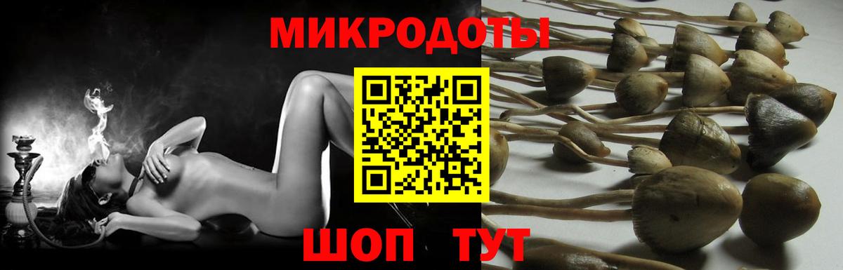 магазин продажи   Псилоцибиновые грибы мицелий  Вход с VPN  Кисловодск 